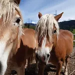 Bauernhof Schranbachhof Maria Alm am Steinernen Meer