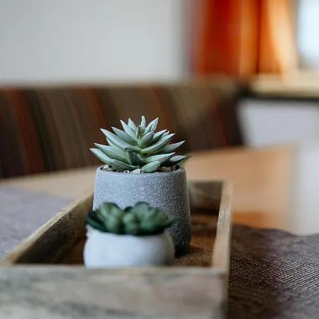 Schranbachhof Alloggio per agriturismo Maria Alm am Steinernen Meer