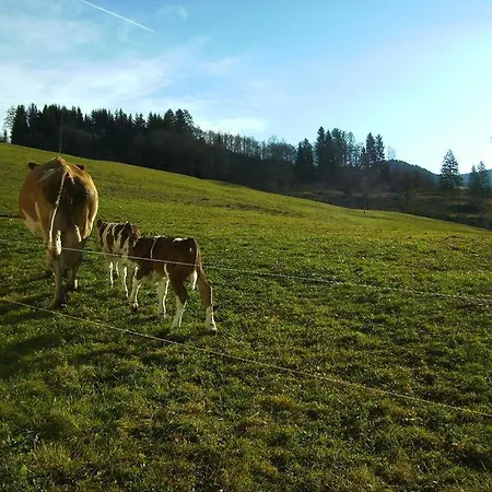 Séjour à la ferme Schranbachhof