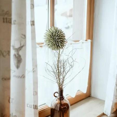 Schranbachhof * Maria Alm am Steinernen Meer