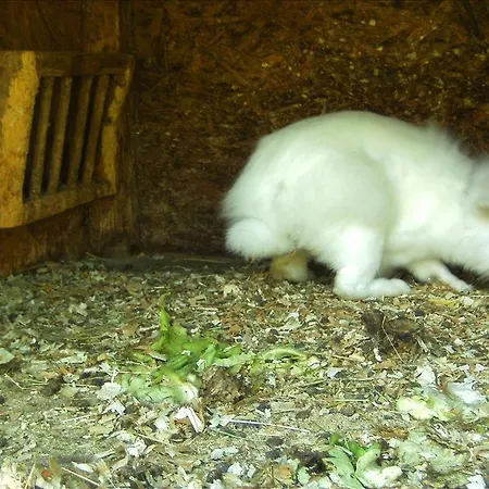 Alloggio per agriturismo Schranbachhof *