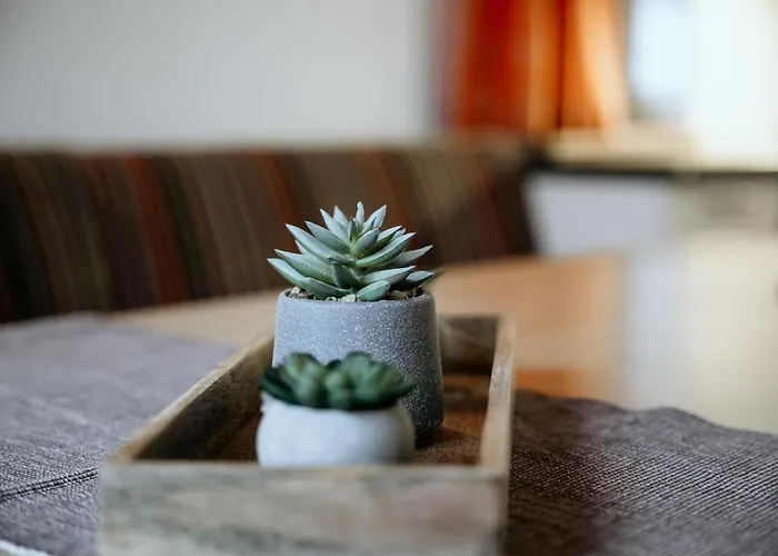 Schranbachhof Lantgård Maria Alm am Steinernen Meer