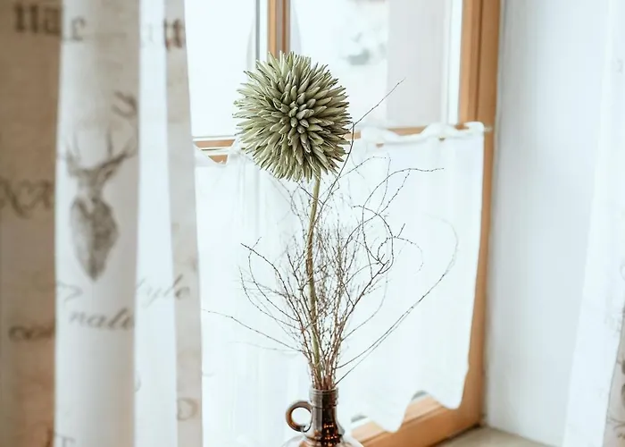 Schranbachhof * Maria Alm am Steinernen Meer