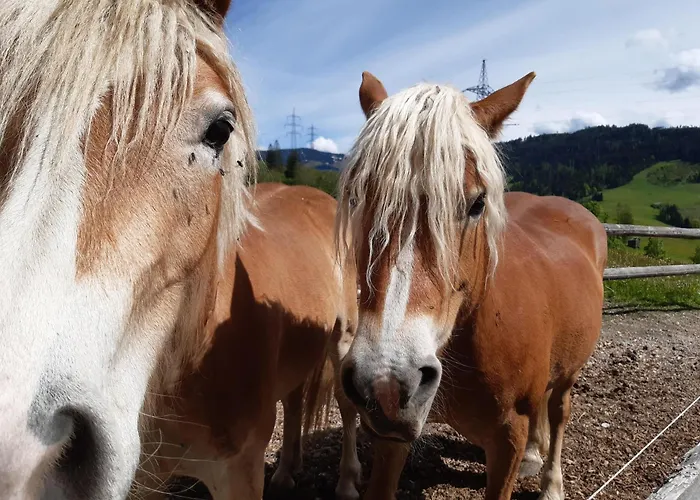 Lantgård Schranbachhof Maria Alm am Steinernen Meer